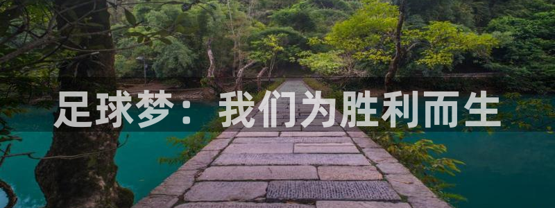 足球梦：我们为胜利而生