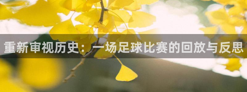 重新审视历史：一场足球比赛的回放与反