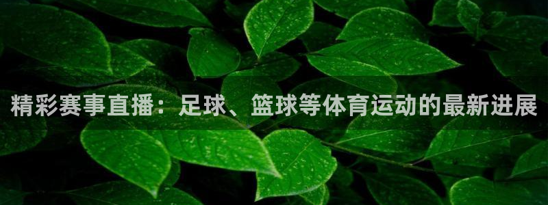 精彩赛事直播：足球、篮球等体育运动的最新进展
