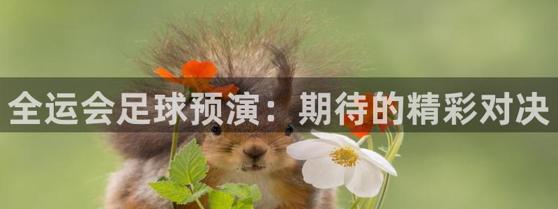  全运会足球预演：期待的精彩对决