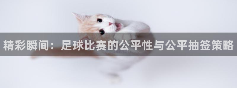 精彩瞬间：足球比赛的公平性与公平抽签策略