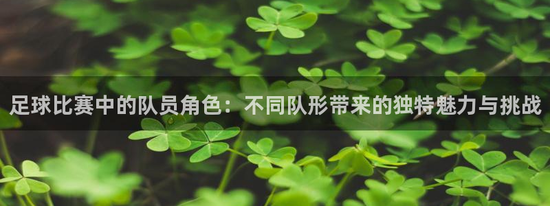 足球比赛中的队员角色：不同队形带来的独特魅力与挑战