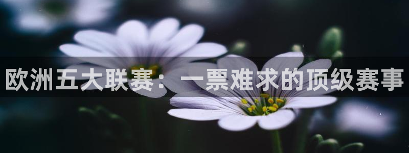 欧洲五大联赛：一票难求的顶级赛事