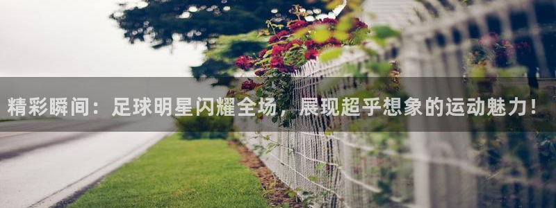  精彩瞬间：足球明星闪耀全场，展现超乎想象的运动魅力！