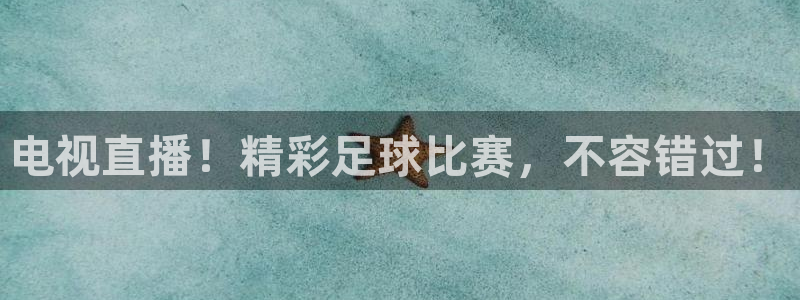  电视直播！精彩足球比赛，不容错过！