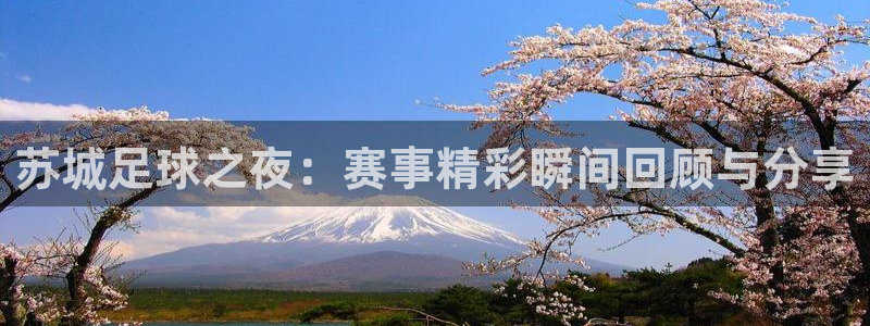 苏城足球之夜：赛事精彩瞬间回顾与分享