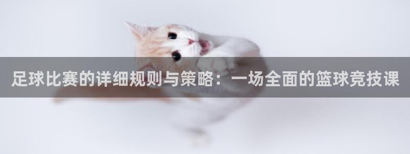 足球比赛的详细规则与策略：一场全面的篮球竞技课