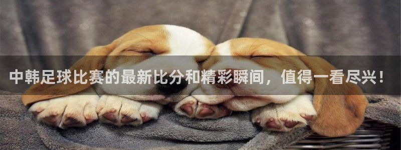  中韩足球比赛的最新比分和精彩瞬间，值得一看尽兴！