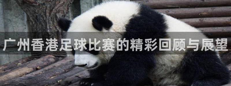 广州香港足球比赛的精彩回顾与展望