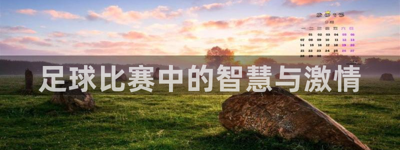  足球比赛中的智慧与激情