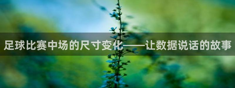 足球比赛中场的尺寸变化——让数据说话