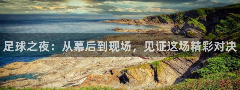 足球之夜：从幕后到现场，见证这场精彩