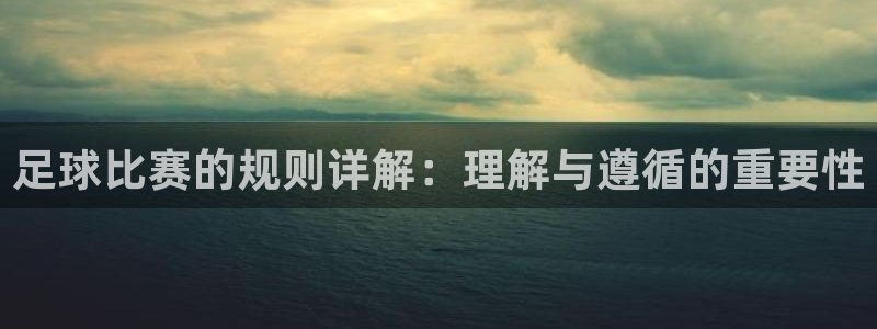 足球比赛的规则详解：理解与遵循的重要