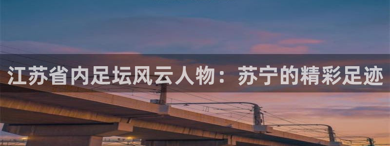 江苏省内足坛风云人物：苏宁的精彩足迹