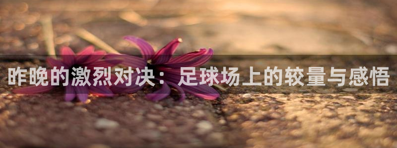 昨晚的激烈对决：足球场上的较量与感悟