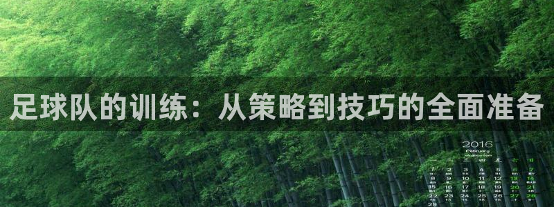 足球队的训练：从策略到技巧的全面准备