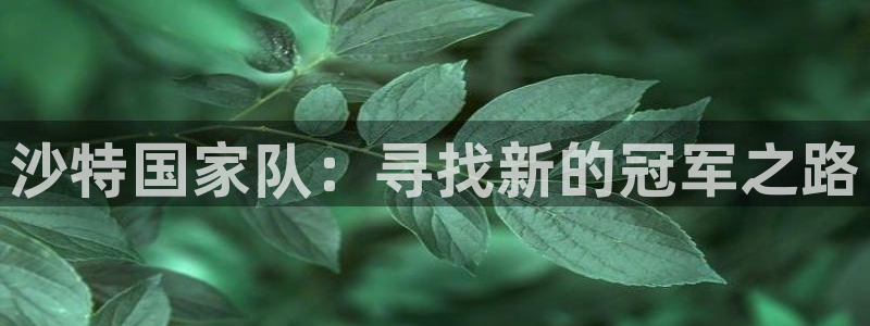 沙特国家队：寻找新的冠军之路