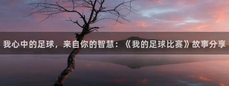 我心中的足球，来自你的智慧：《我的足
