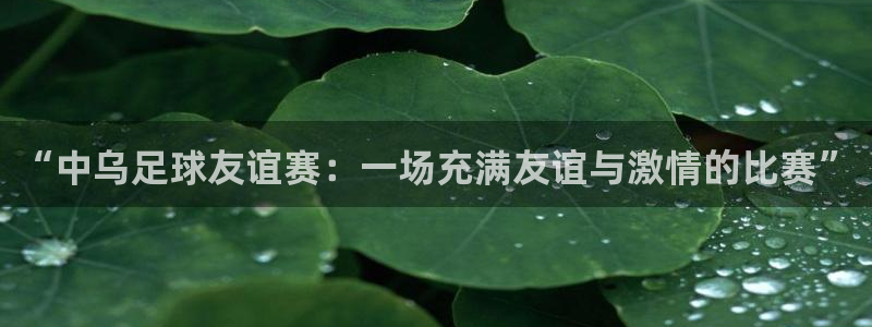 “中乌足球友谊赛：一场充满友谊与激情
