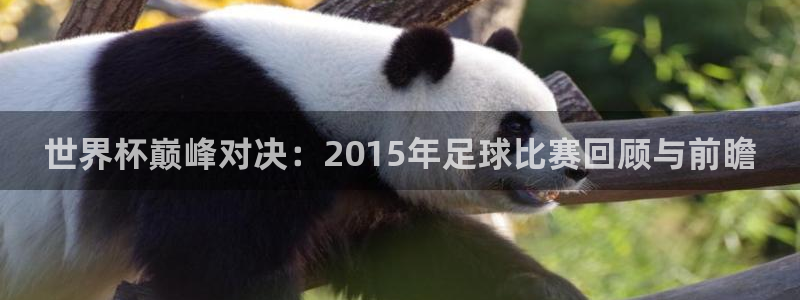世界杯巅峰对决：2015年足球比赛回