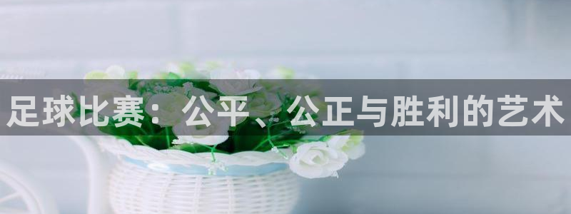 足球比赛：公平、公正与胜利的艺术