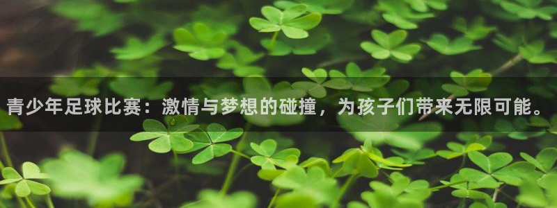 青少年足球比赛：激情与梦想的碰撞，为