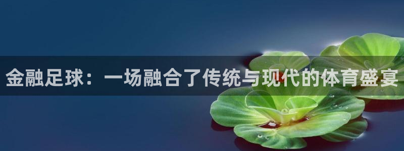 金融足球：一场融合了传统与现代的体育