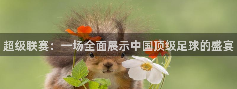 超级联赛：一场全面展示中国顶级足球的