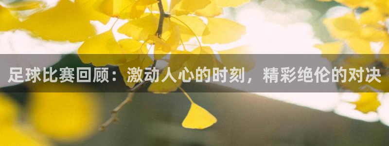 足球比赛回顾：激动人心的时刻，精彩绝