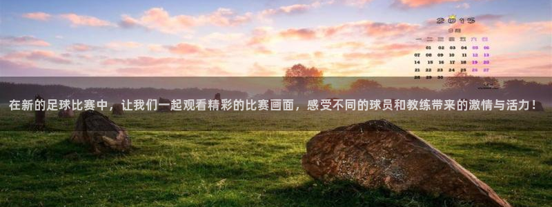 在新的足球比赛中，让我们一起观看精彩